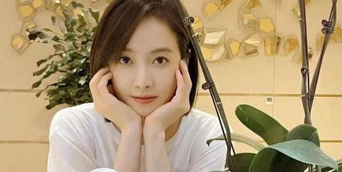 刘大锤爆料宋茜欧豪视频,恋情疑曝光? 第3张 刘大锤爆料宋茜欧豪视频,恋情疑曝光? 第3张