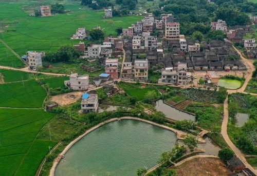 封开南丰镇新闻爆料,聚焦民生热点,共话发展新篇 第1张 封开南丰镇新闻爆料,聚焦民生热点,共话发展新篇 第1张